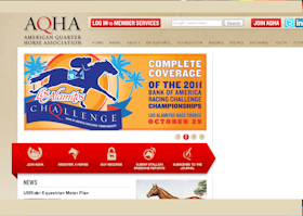 American Quarter Horse Association