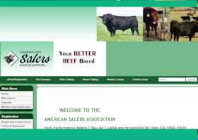 American Salers Association