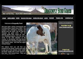 Dragonfly Boer Goats