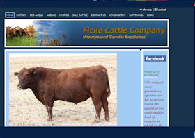 Ficke Cattle Company