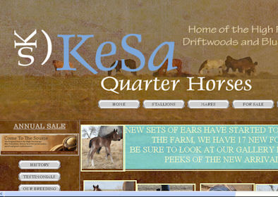 KeSa Quarter Horses