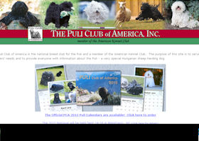 Puli Club of America