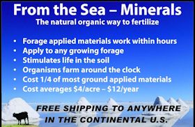Sea Minerals from the Sea