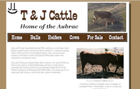 T and J Cattle