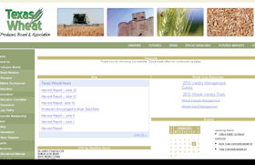 Texas Wheat Producers