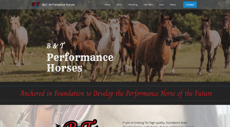B&T Performance Horses
