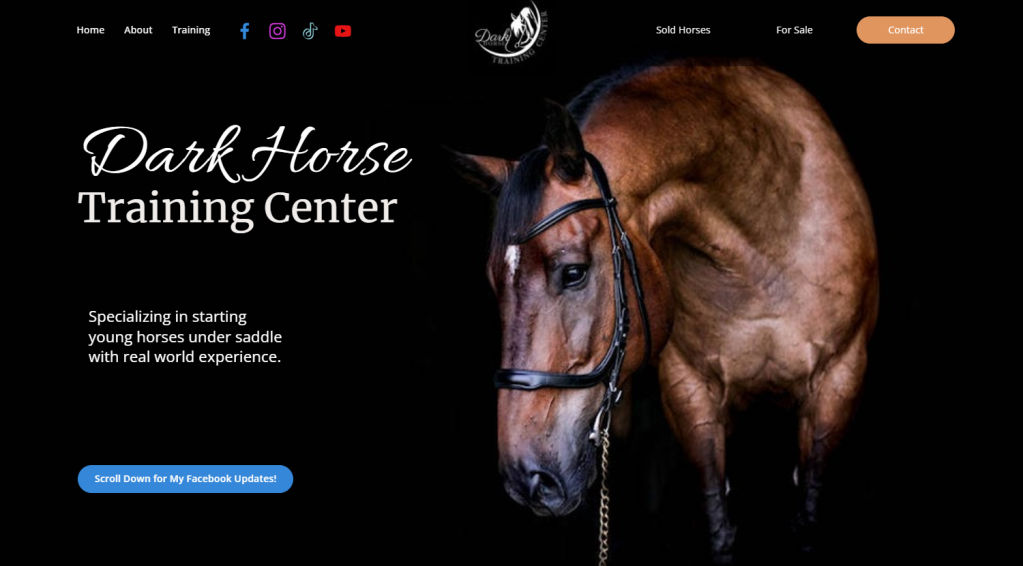 Dark Horse Training Center