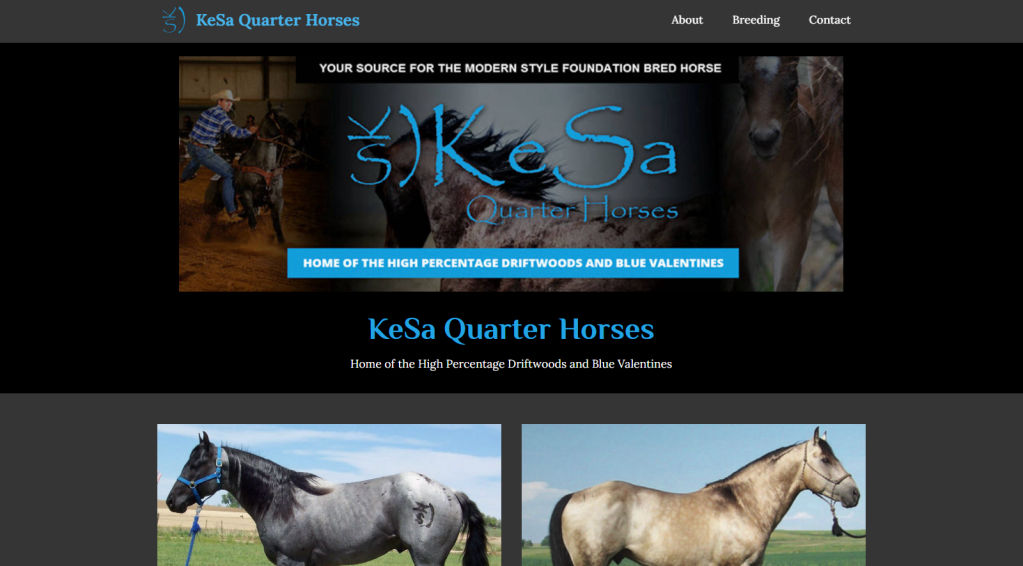 KESA Quarter Horses