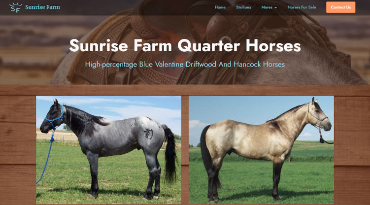 Sunrise Farm Quarter Horses