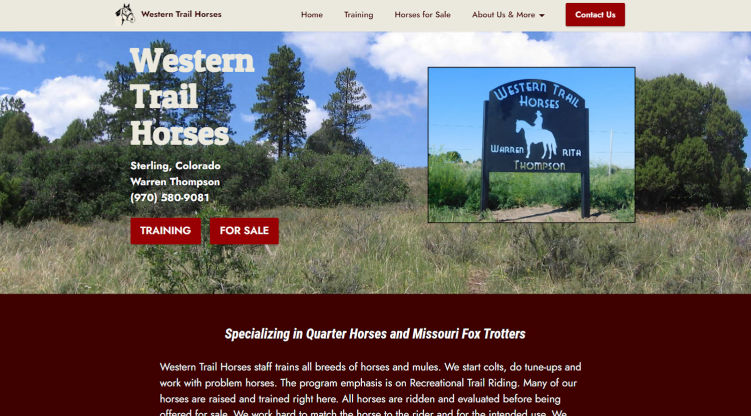 Western Trail Horses